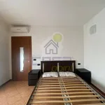 Rent 2 bedroom apartment of 60 m² in Cremona