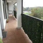 Bilocale arredato con terrazzo Busto Arsizio