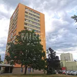 Rent 1 bedroom apartment of 55 m² in Hradec Králové