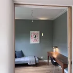 Rent 3 bedroom apartment of 100 m² in Kralingen Oost