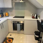 Rent 1 bedroom house in Christchurch