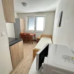 Rent 1 bedroom apartment in Prague