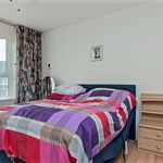 Rent 5 bedroom house of 95 m² in Paddepoel-Noord