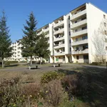 Rent 4 bedroom apartment of 70 m² in Eberswalde