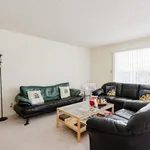 Rent 1 bedroom apartment in San Jose