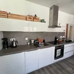 Rent 1 bedroom apartment of 40 m² in Brno