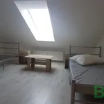 Rent 1 bedroom apartment of 14 m² in Brno