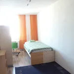 Rent 5 bedroom apartment of 110 m² in Vienna