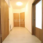 Rent 1 bedroom apartment in Nymburk