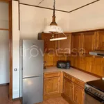 Rent 4 bedroom apartment of 110 m² in Padova