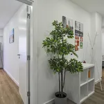 Rent 2 bedroom apartment of 80 m² in Paço de Arcos