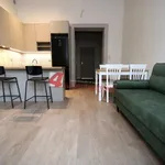 Rent 2 bedroom apartment of 45 m² in Tarnów