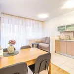 Rent 1 bedroom apartment of 44 m² in Zagreb