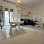 Rent 1 bedroom apartment of 35 m² in Milano