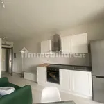 Rent 1 bedroom apartment of 38 m² in Bologna