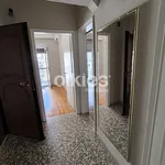 Rent 1 bedroom house of 50 m² in Ξηροκρήνη - Παναγία Φανερωμένη