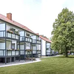 Rent 4 bedroom apartment of 61 m² in Gelsenkirchen