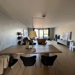 Rent 1 bedroom apartment in Geel