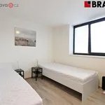 Rent 3 bedroom apartment in Brno