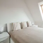 Rent 1 bedroom apartment of 65 m² in berlin