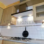 Rent 1 bedroom apartment of 94 m² in Pilsen