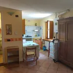 Rent 1 bedroom apartment of 32 m² in Turin