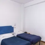 Rent 1 bedroom apartment in rome