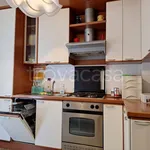 Rent 4 bedroom apartment of 90 m² in Bologna