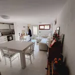 Rent 2 bedroom apartment of 65 m² in Pietrasanta