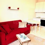 Rent 1 bedroom apartment of 50 m² in Legnano