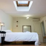 Rent 1 bedroom apartment of 65 m² in bologna