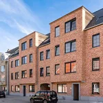 Rent 2 bedroom apartment in Geel