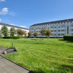 Rent 2 bedroom apartment of 35 m² in Chemnitz