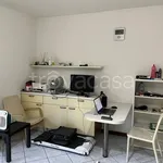 Rent 1 bedroom apartment of 35 m² in Como