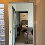 Rent 3 bedroom apartment of 65 m² in Firenze