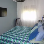 Rent 3 bedroom apartment of 75 m² in Robilante