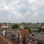 Rent 2 bedroom apartment of 80 m² in amsterdam