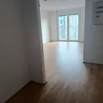 Rent 2 bedroom apartment of 49 m² in Graz