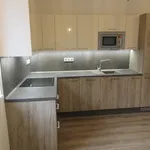 Rent 3 bedroom apartment of 51 m² in Liberec