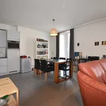  appartement avec 1 chambre(s) en location à Scheldewindeke