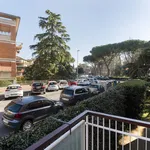 Rent 1 bedroom apartment in Florence