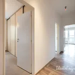 Rent 3 bedroom apartment in Praha 10