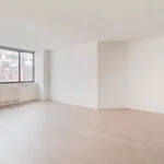 Rent 1 bedroom apartment of 460 m² in Manhattan