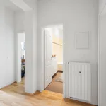 Miete 1 Schlafzimmer wohnung von 54 m² in Dresden