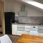 Rent 1 bedroom apartment of 70 m² in Dresden