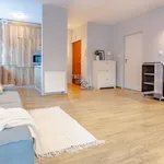 Rent 2 bedroom apartment of 47 m² in Krakow