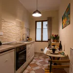 Rent 1 bedroom apartment of 40 m² in Florence