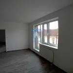 Pronajměte si 2 ložnic/e byt o rozloze 97 m² v Pilsen