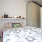 Rent 1 bedroom apartment in Milano