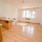 Pronajměte si 2 ložnic/e byt o rozloze 45 m² v Prague